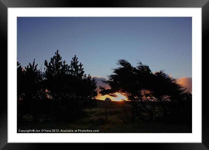 Sunrise tree silhouette Framed Mounted Print by Jon O'Hara