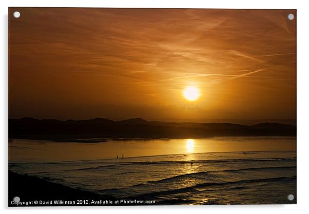 Saunton Sands Surfers Acrylic by Dave Wilkinson North Devon Ph
