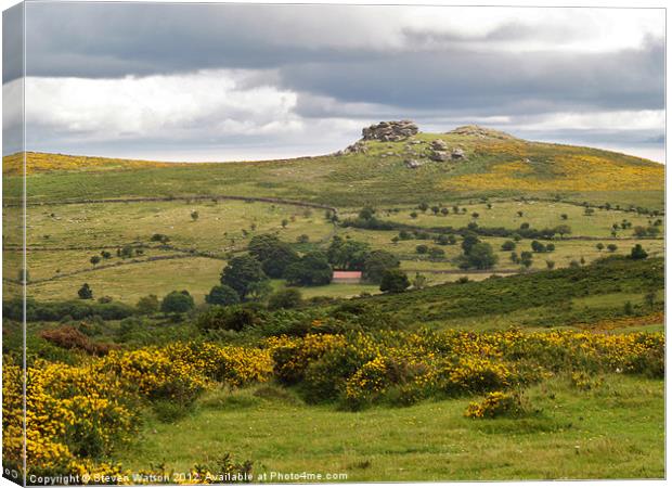 Saddle Tor Canvas Print by Steven Watson