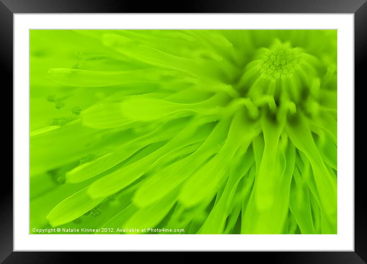 Bright Lime Green Wall Art Framed Mounted Print by Natalie Kinnear