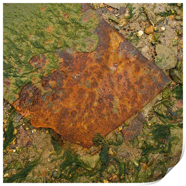 Rusted metal plate Print by Gary Eason