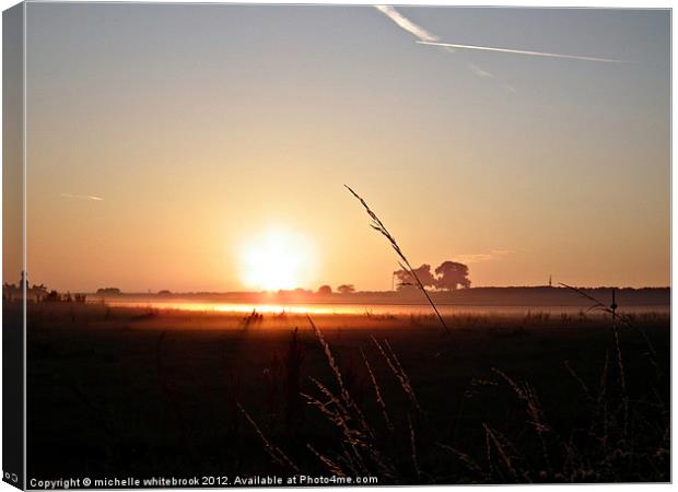 Sunrise on the Farm Canvas Print by michelle whitebrook