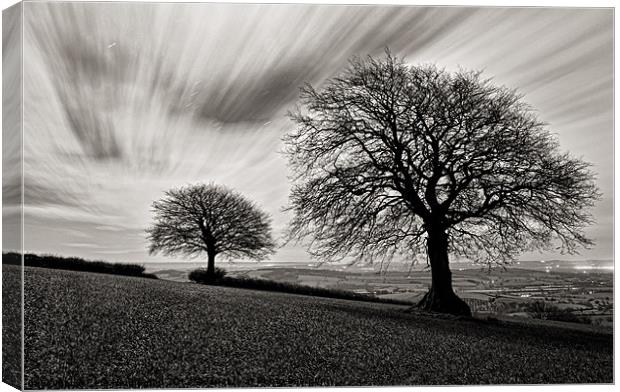 Trees in the light of the moon Canvas Print by Pete Hemington