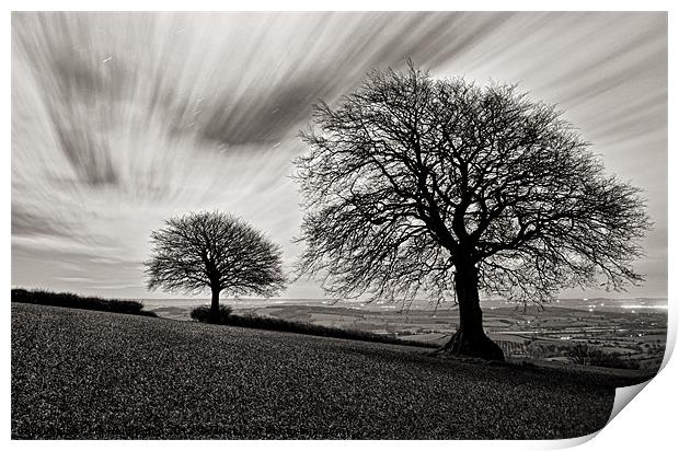 Trees in the light of the moon Print by Pete Hemington