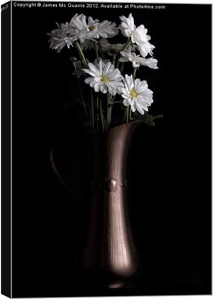 Daisies in window light Canvas Print by James Mc Quarrie