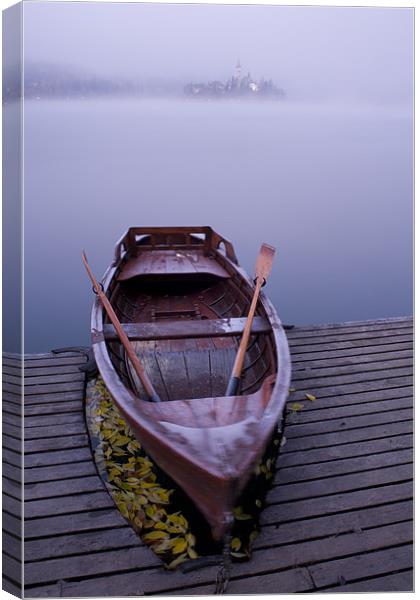 Icy mist Canvas Print by Ian Middleton