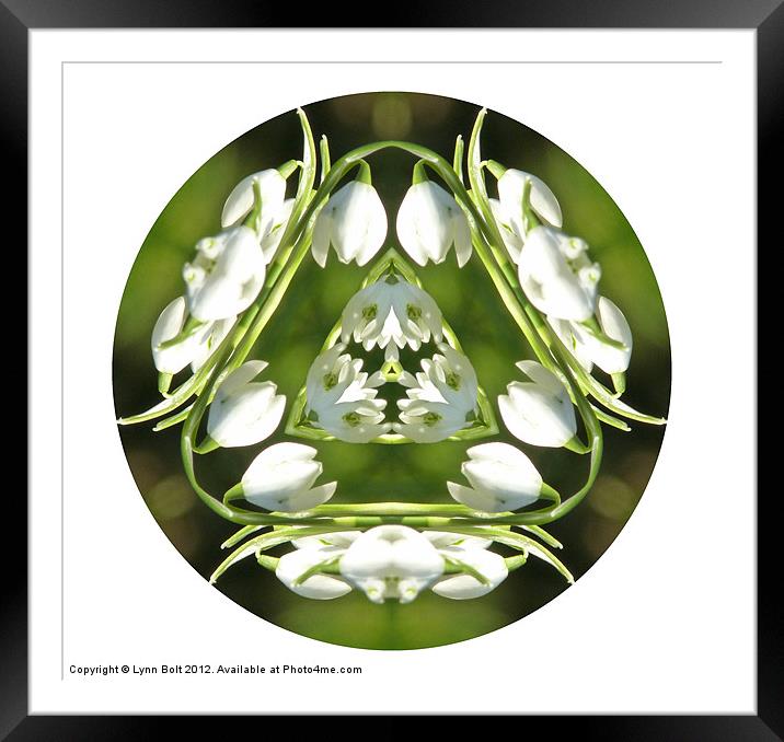 Snowdrop Kaleidoscope Framed Mounted Print by Lynn Bolt