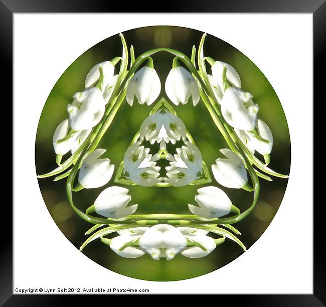 Snowdrop Kaleidoscope Framed Print by Lynn Bolt