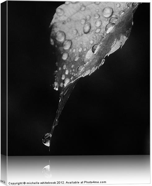 Shadow of a Raindrop Canvas Print by michelle whitebrook