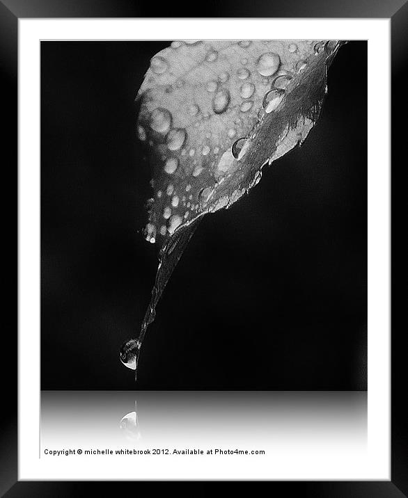 Shadow of a Raindrop Framed Mounted Print by michelle whitebrook