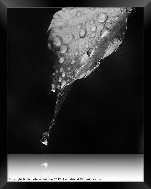 Shadow of a Raindrop Framed Print by michelle whitebrook