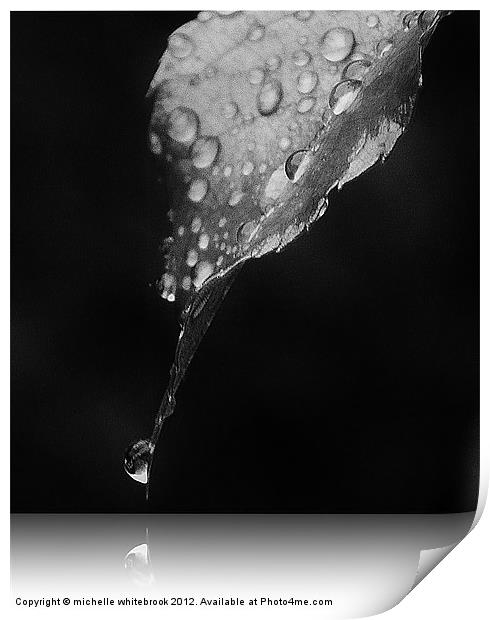 Shadow of a Raindrop Print by michelle whitebrook