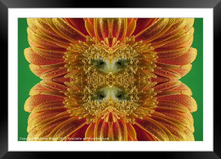 Wet kaleidoscope Framed Mounted Print by Nathan Wright