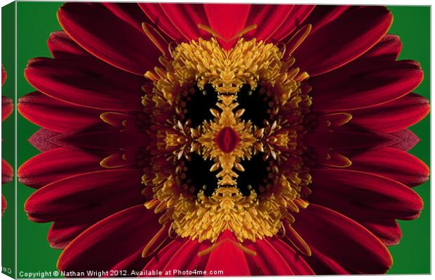 Kaleidoscope red and yellow Canvas Print by Nathan Wright