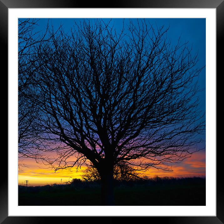 Silhouette Framed Mounted Print by Dave Wilkinson North Devon Ph