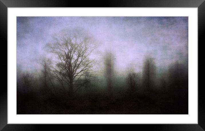 misty morning 2 Framed Mounted Print by Heather Newton