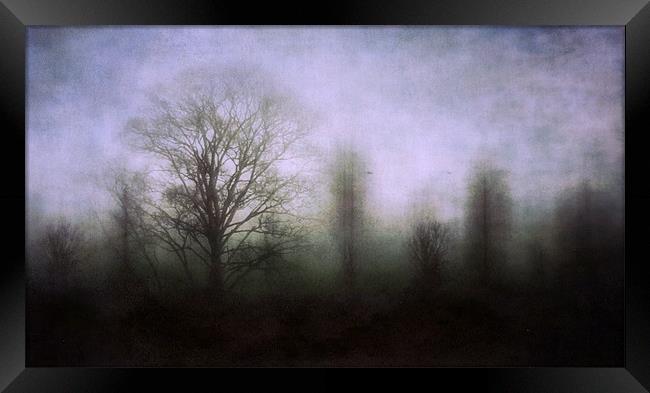 misty morning 2 Framed Print by Heather Newton