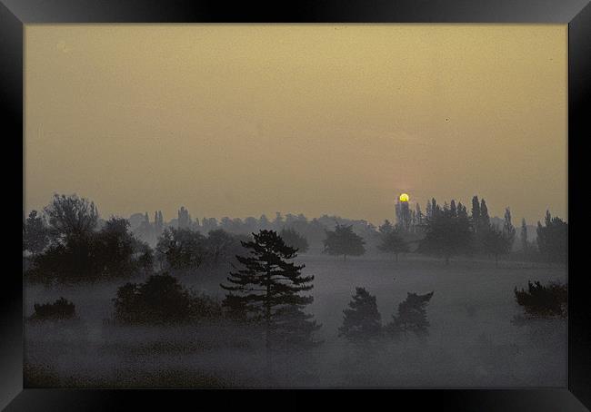 Misty Morn Framed Print by Derek Vines