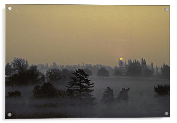 Misty Morn Acrylic by Derek Vines