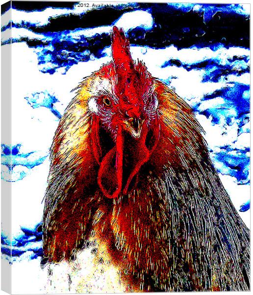 Cock of the Walk Canvas Print by James Hogarth