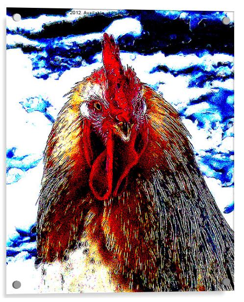 Cock of the Walk Acrylic by James Hogarth