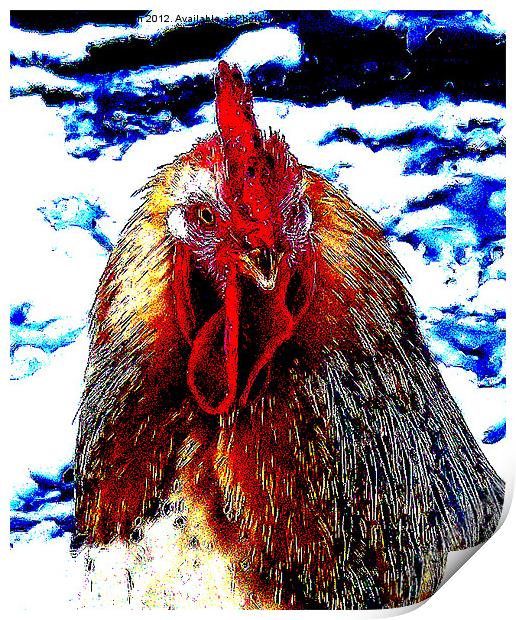 Cock of the Walk Print by James Hogarth