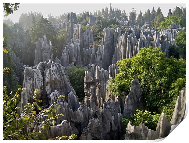 The four seasons at The Stone Forest Print by Rong  Kruckner