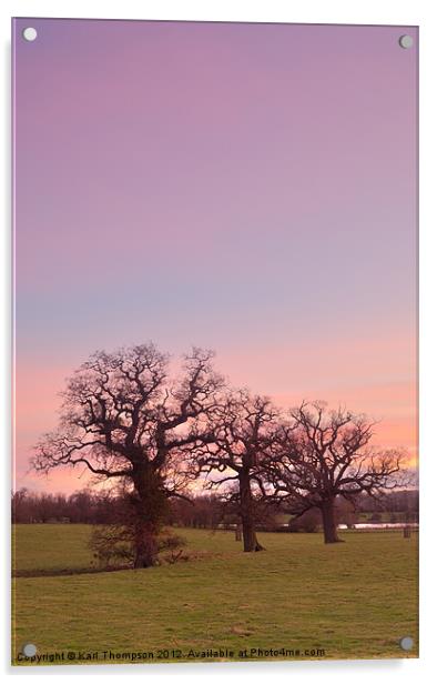 Sunset at Corsham Park Acrylic by Karl Thompson