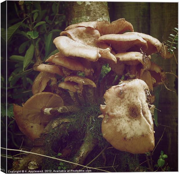 Woodland fungus, it's a fungi! Canvas Print by K. Appleseed.