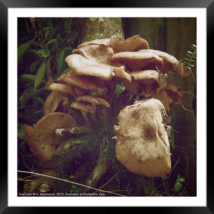 Woodland fungus, it's a fungi! Framed Mounted Print by K. Appleseed.