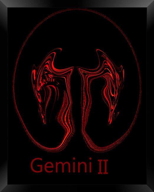 Gemini II Framed Print by Barbara Schafer