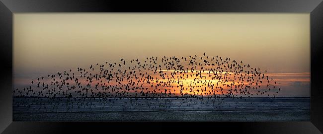 RETURNING HOME Framed Print by Anthony R Dudley (LRPS)