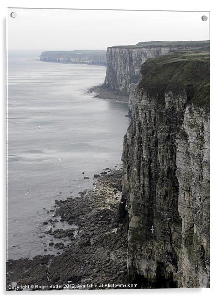 Early Spring at Bempton Cliffs Acrylic by Roger Butler