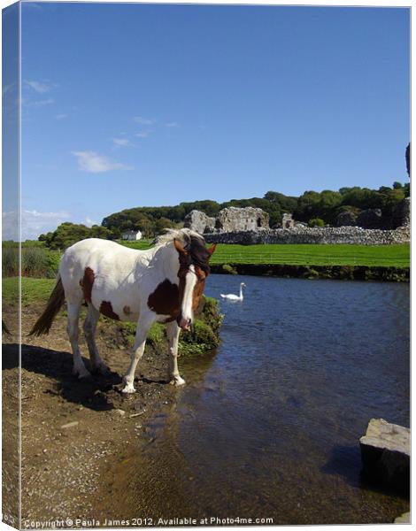 Ogmore River and Castle, Horse and Swan Canvas Print by Paula J James