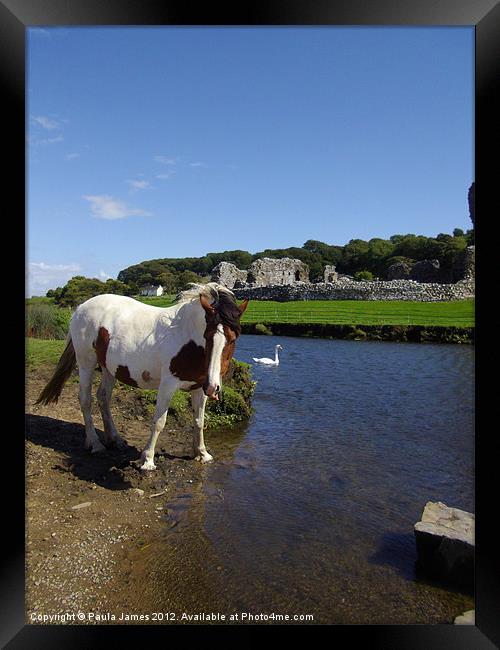 Ogmore River and Castle, Horse and Swan Framed Print by Paula J James