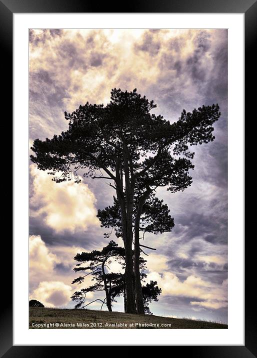 Tree standing alone Framed Mounted Print by Alexia Miles