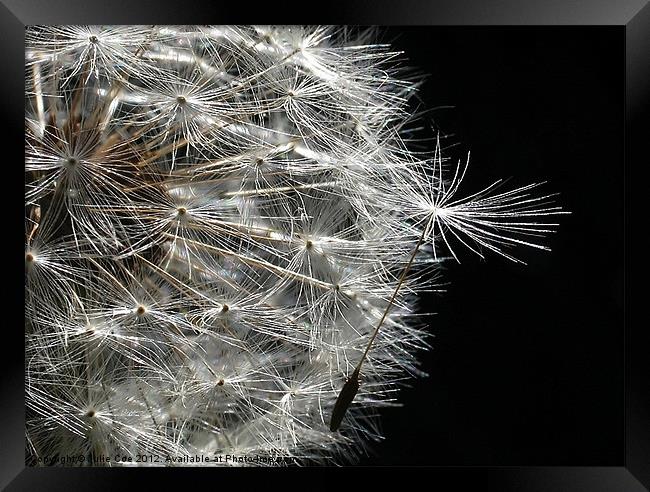 Leaving Home Framed Print by Julie Coe