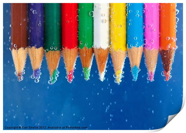 Colour pencils Print by Carl Shellis