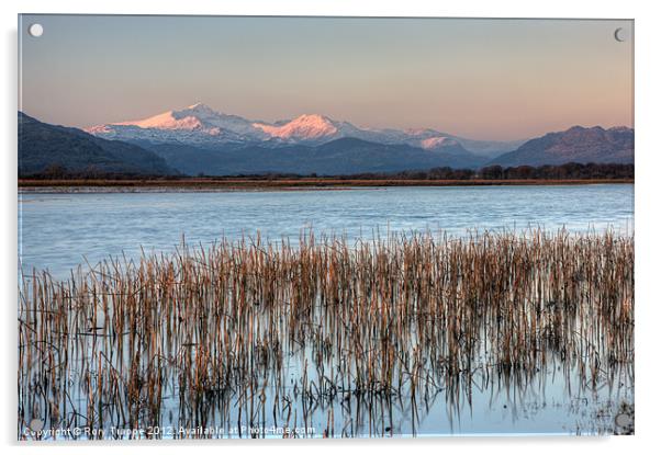 Snowdon from the cob Acrylic by Rory Trappe