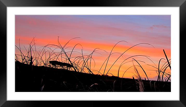 Morning Sky Framed Mounted Print by barbara walsh