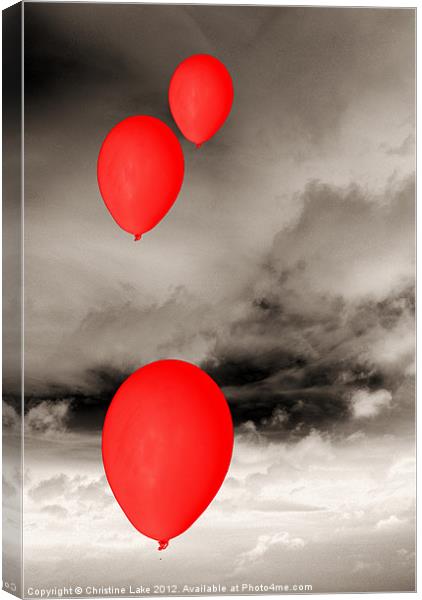 Up Up and Away Canvas Print by Christine Lake