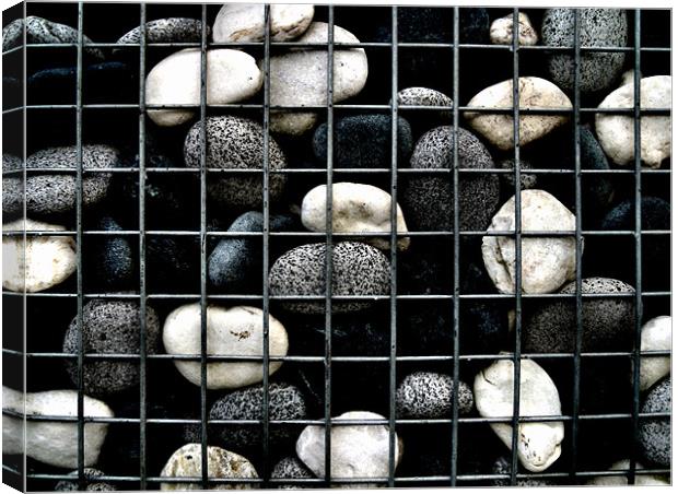 cage of stones Canvas Print by Heather Newton