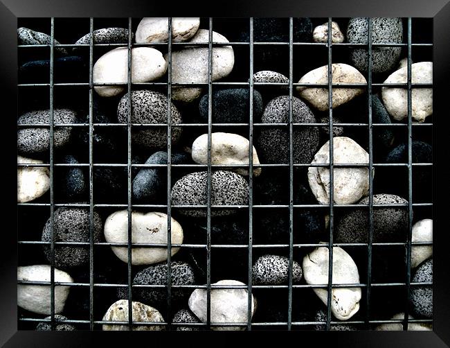 cage of stones Framed Print by Heather Newton
