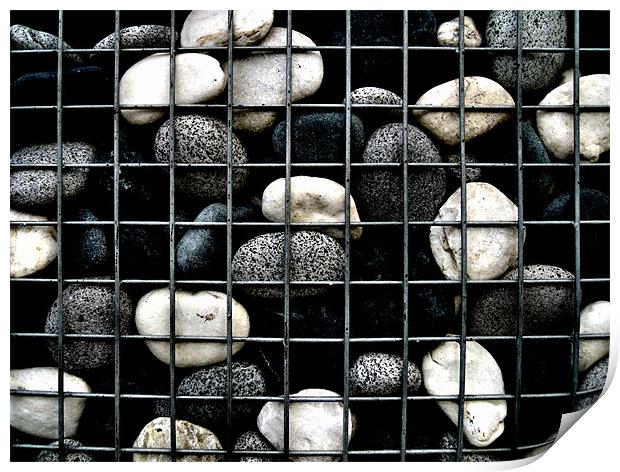 cage of stones Print by Heather Newton