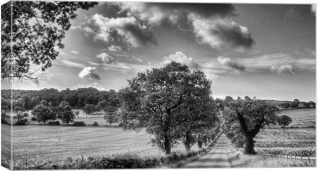 The Country Lane Canvas Print by richard downes