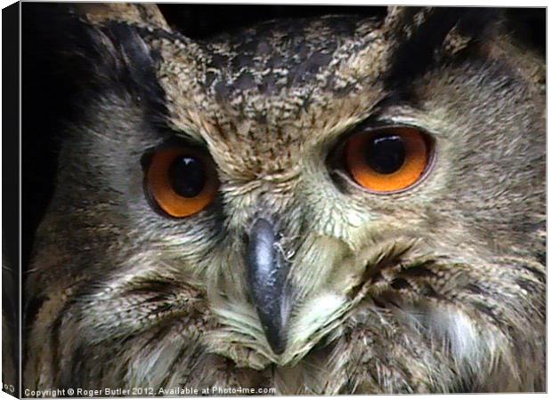 Look Into My Eyes Canvas Print by Roger Butler