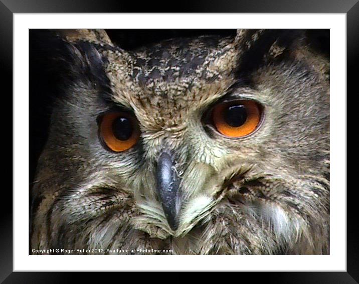 Look Into My Eyes Framed Mounted Print by Roger Butler