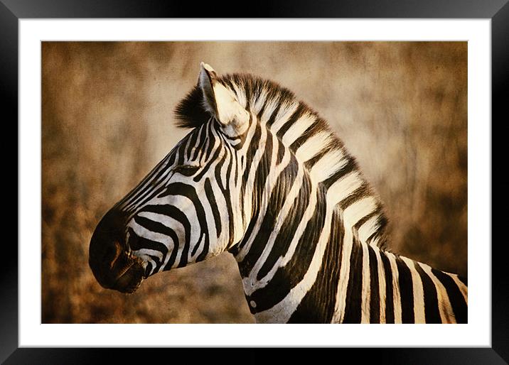 Vintage Stripes Framed Mounted Print by Marcus FitzGerald