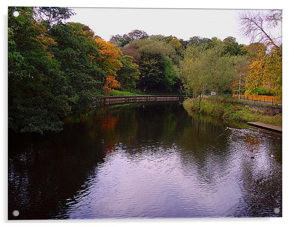 River Wansbeck at Morpeth Acrylic by John Ellis