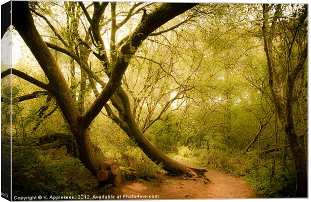 Occombe woods in spring Canvas Print by K. Appleseed.